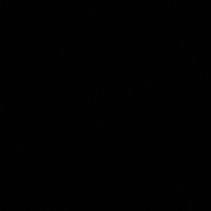 Meet your Posher, Anisa